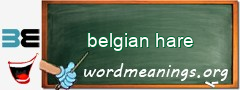 WordMeaning blackboard for belgian hare